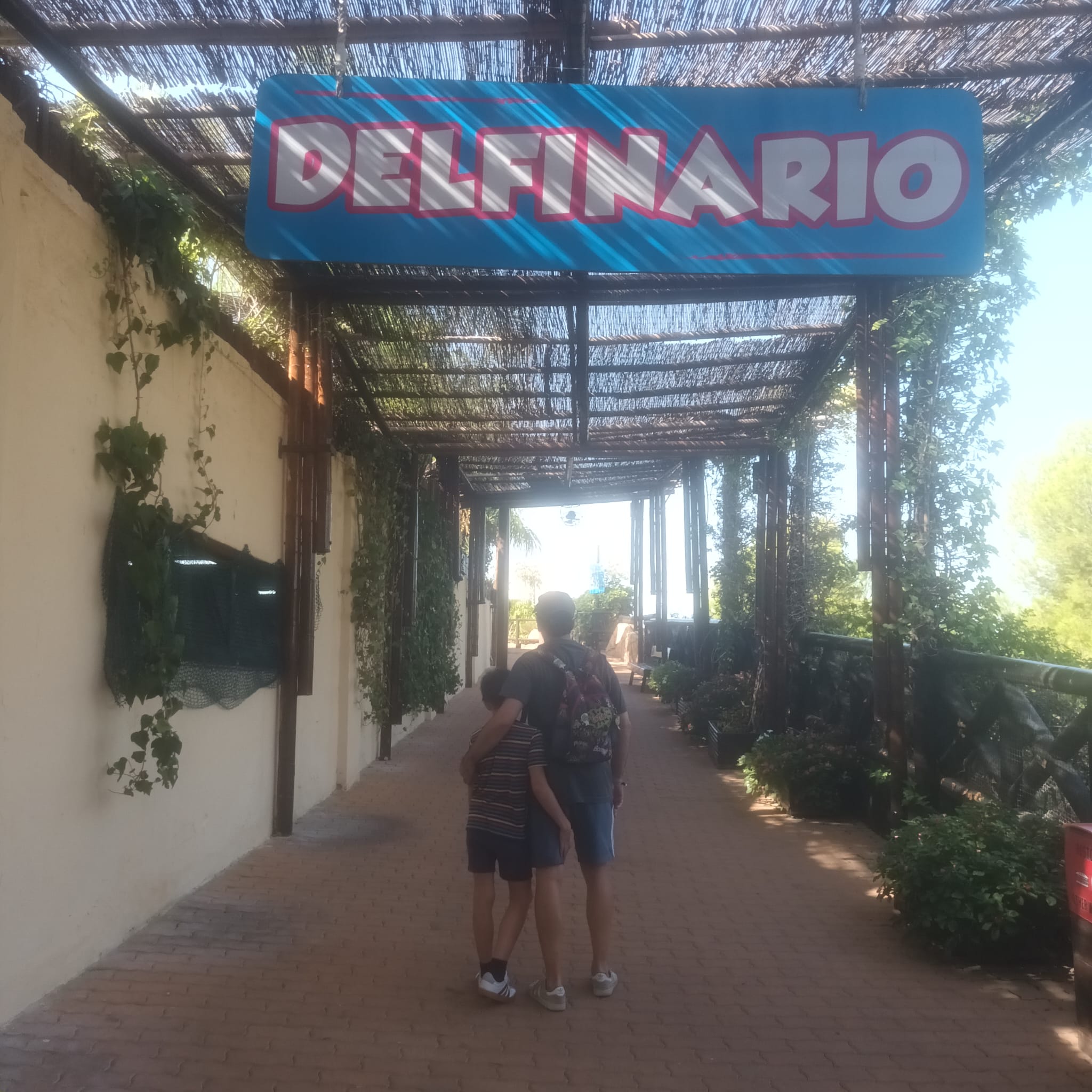 Delfinario en Mundomar durante la terapia con delfines