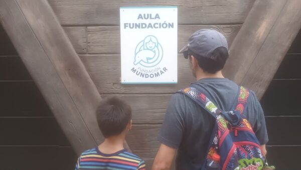 Terapia con delfines en la Fundación Aqualandia-Mundomar
